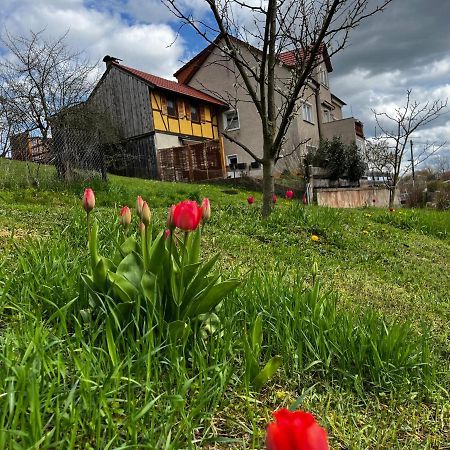 Kipsenblick Apartment Kreischa Bagian luar foto