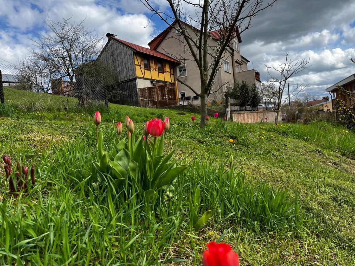 Kipsenblick Apartment Kreischa Bagian luar foto